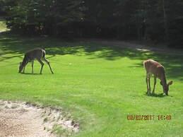 Inn at the Hilton Beach by Elevate Rooms