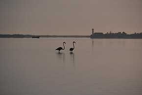 Yuum Ha Boutique Hotel