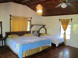 Coconut Tree West End