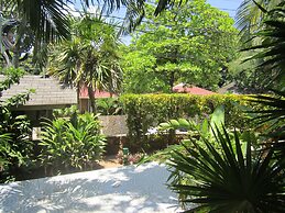 Coconut Tree West End