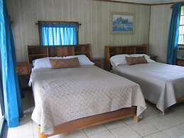 Coconut Tree West End