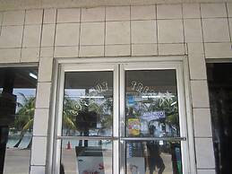 Coconut Tree West End