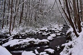 The Owl's Perch (5 inch clearance needed)