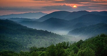 The Owl's Perch (5 inch clearance needed)