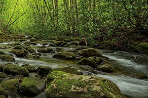The Owl's Perch (5 inch clearance needed)
