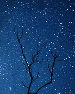 Pipe House Playa Grande