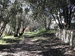 Résidence Hôtelière A Trama