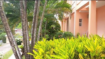 Bougainvillea Apartments