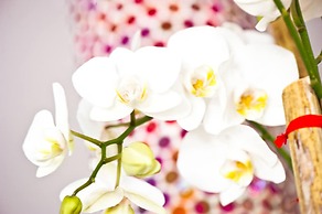 Hotel Playas del Rey