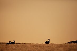 Sandfontein Lodge & Nature Reserve