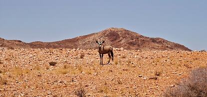 Sandfontein Lodge & Nature Reserve