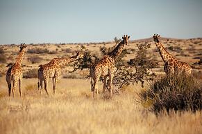 Sandfontein Lodge & Nature Reserve