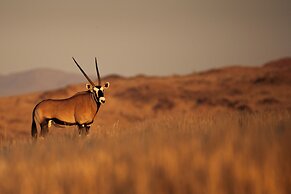Sandfontein Lodge & Nature Reserve