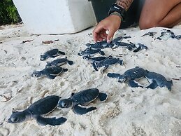 The Reef Dive Resort