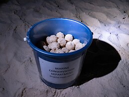 The Reef Dive Resort