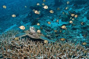 The Reef Dive Resort