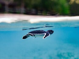 The Reef Dive Resort