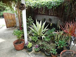 Royal Paradise Guesthouse