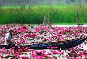 The Infinite Resort Nakhon Sawan