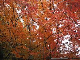 HOTEL WOO - Adults Only