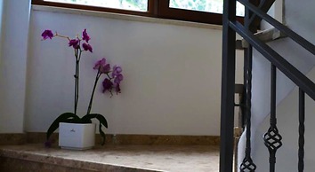 Bocche di Cattaro Apartments