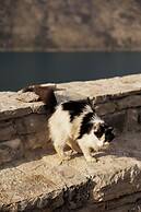 Step to Kotor bay Stoliv