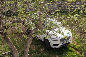 Step to Kotor bay Stoliv