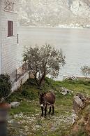 Step to Kotor bay Stoliv