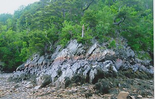 Millyard Recreation Riverfront Cottages