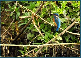 Watermeadow Lakes & Lodges