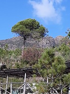 La Madonetta - Dimora d'epoca -