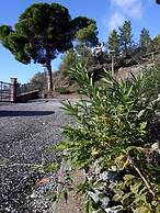 La Madonetta - Dimora d'epoca -