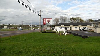 The White Horse Motel
