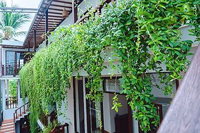 Riverside Plum Garden Homestay