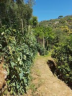 B&B Tre Mari Portofino