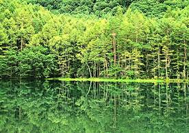 Tateshina Wanwan Paradise Cottage