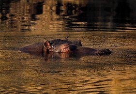 Zambezi Dusk