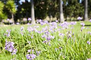 S'Hort de Son Caulelles - Adults Only