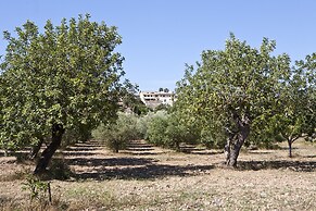 S'Hort de Son Caulelles - Adults Only