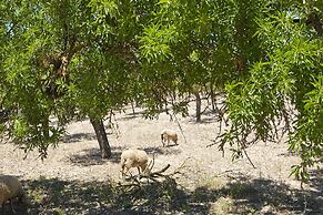 S'Hort de Son Caulelles - Adults Only