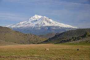 Inn at Mount Shasta