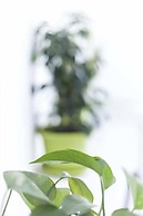 Downtown River Hostel