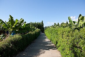 Banana Cyprus Villas
