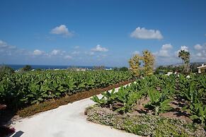 Banana Cyprus Villas