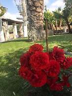 De Michanna Properties