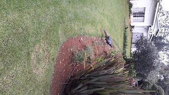 Hoyo Hoyo Machadostud Lodge