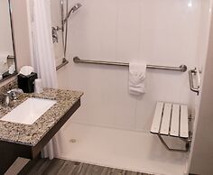 Holiday Inn & Suites Denver Tech Center-Centennial by IHG