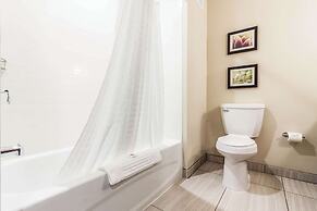 Comfort Suites University