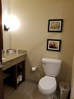 Comfort Suites University