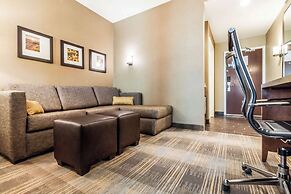 Comfort Suites University
